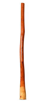 Ironbark Flared Didgeridoo (IB271)
